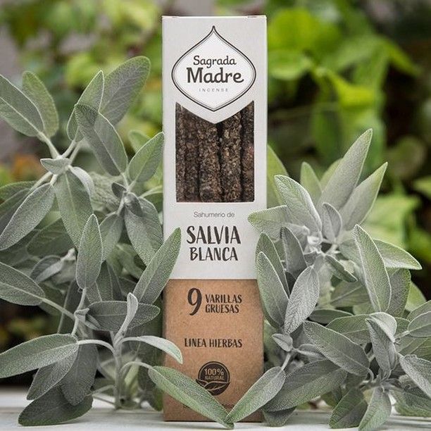 Sahumerio Herbal · Salvia Blanca - Sagrada Madre