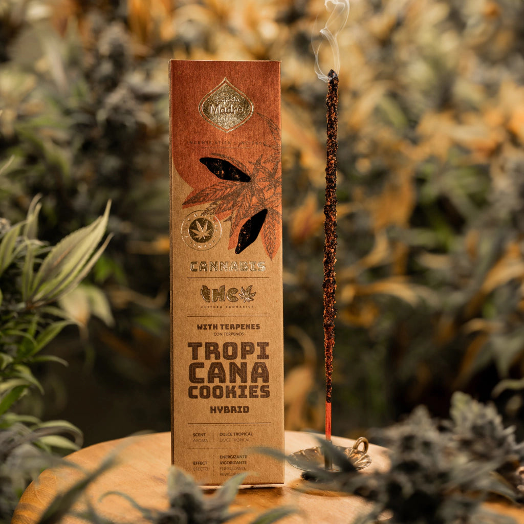 Sahumerio Grow · Cannabis Tropicana Cookies - Sagrada Madre