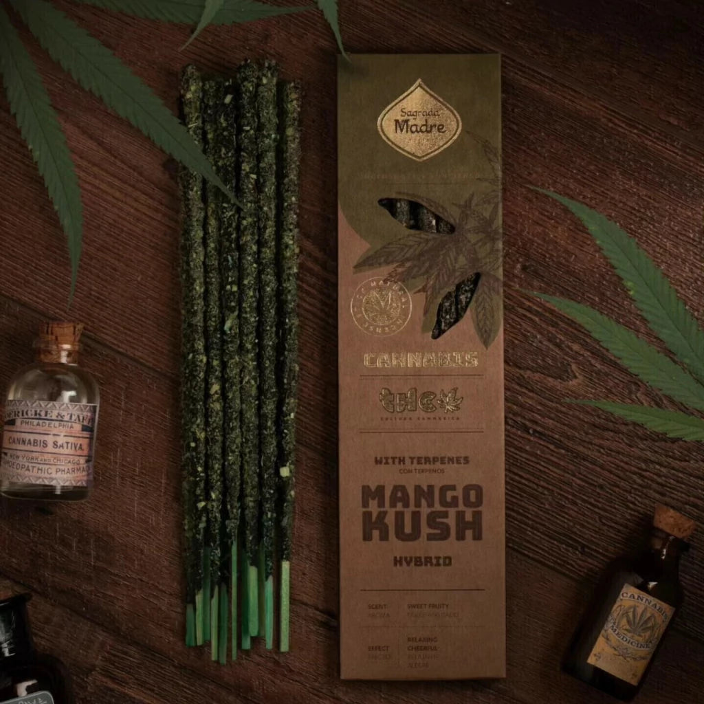 Sahumerio Grow · Cannabis Mango Kush - Sagrada Madre