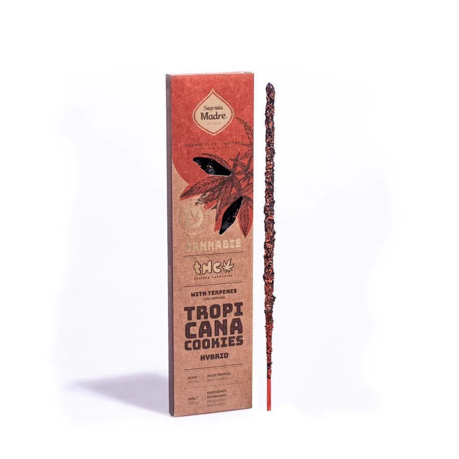 Sahumerio Grow · Cannabis Tropicana Cookies - Sagrada Madre