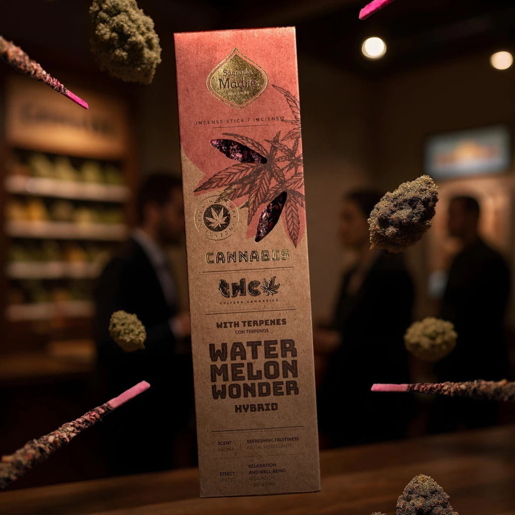 Sahumerio Grow · Cannabis Water Melon Wonder - Sagrada Madre